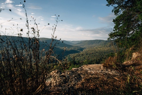 Buffalo River Landscape