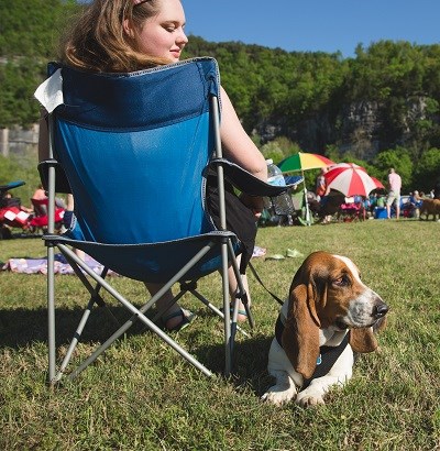 Dog at SC Concert Dog at SC Concert