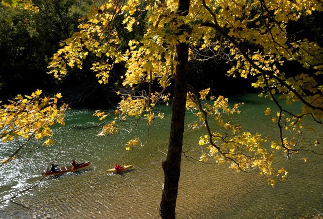 Floating in the fall. Floating in the fall.
