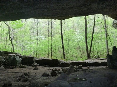 Spring in the Indian Rockhouse Spring in the Indian Rockhouse