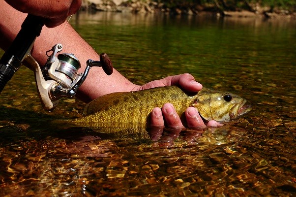 Fishing - Buffalo National River (U.S. National Park Service)