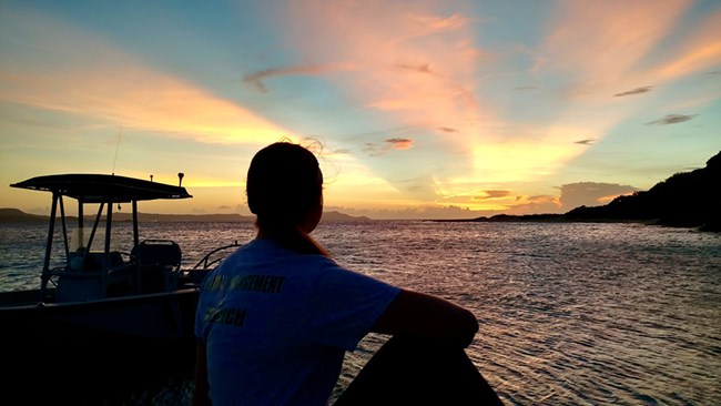 sea turtle intern gazing at sunset on Buck Island