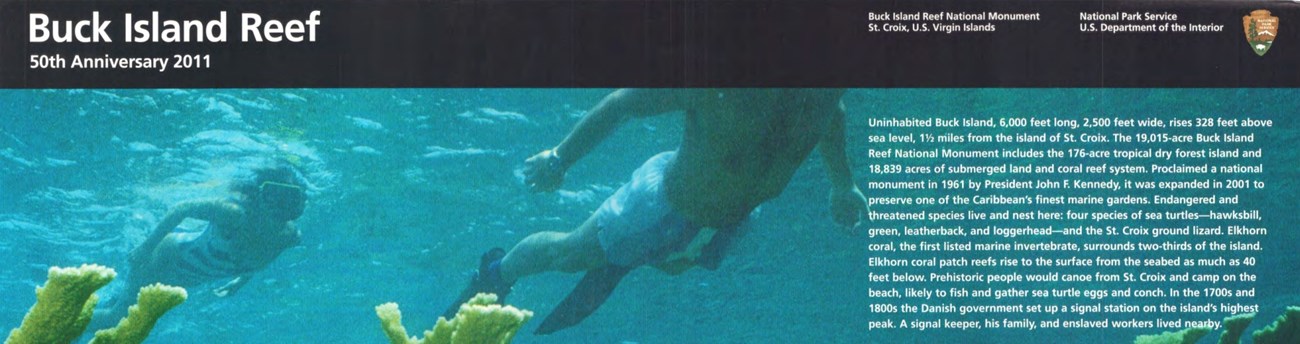 BUIS Cover