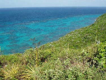 Buck Island NM North Reef View