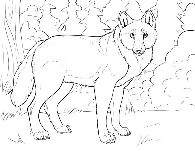 An illustration of the outline of a wolf.