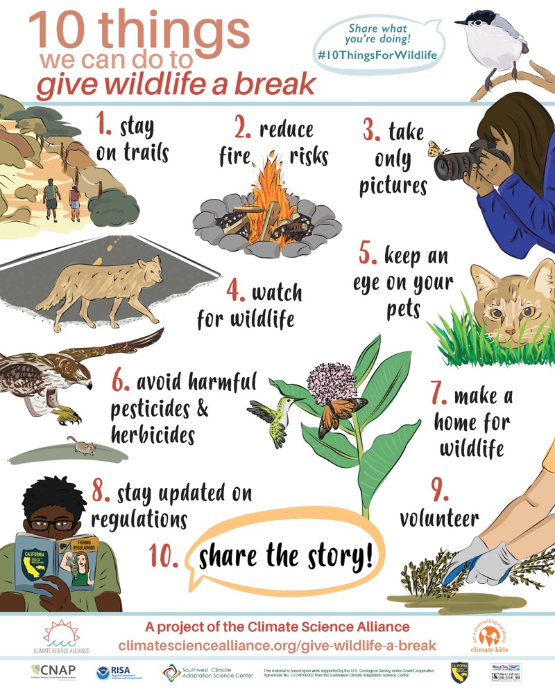 Poster showing 10 Things You Can Do to Give Wildlife a Break