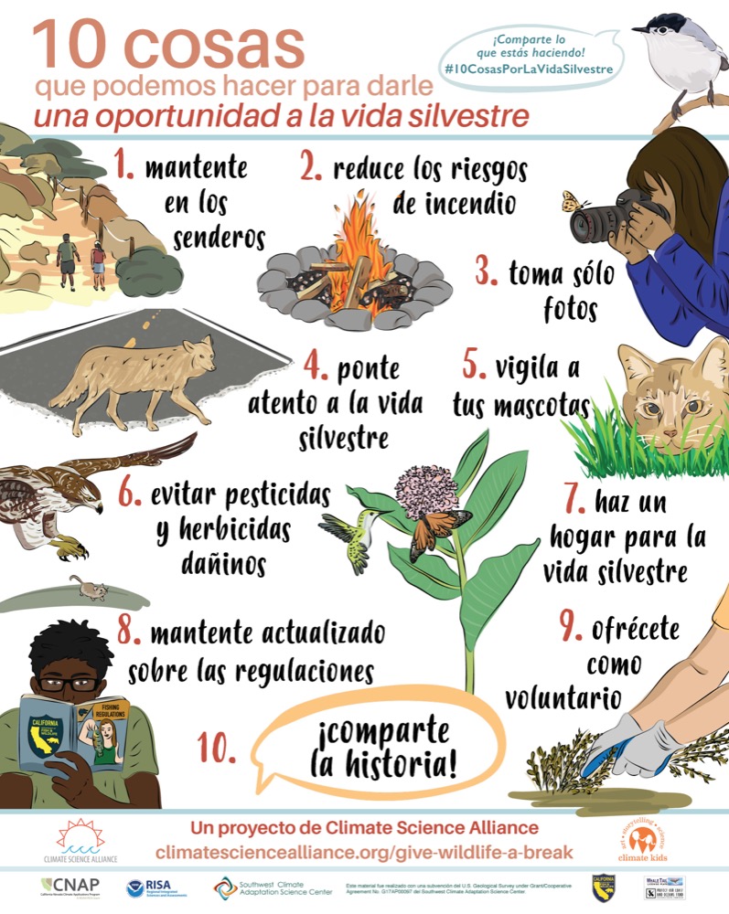 10 Things You Can Do to Give Wildlife a Break Poster showing 10 Things You Can Do to Give Wildlife a Break