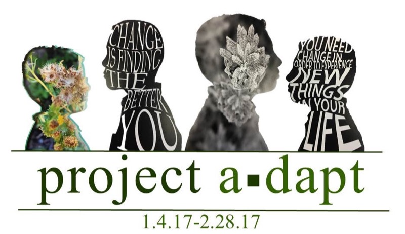 Project a*dapt Poster of the a_dapt on program