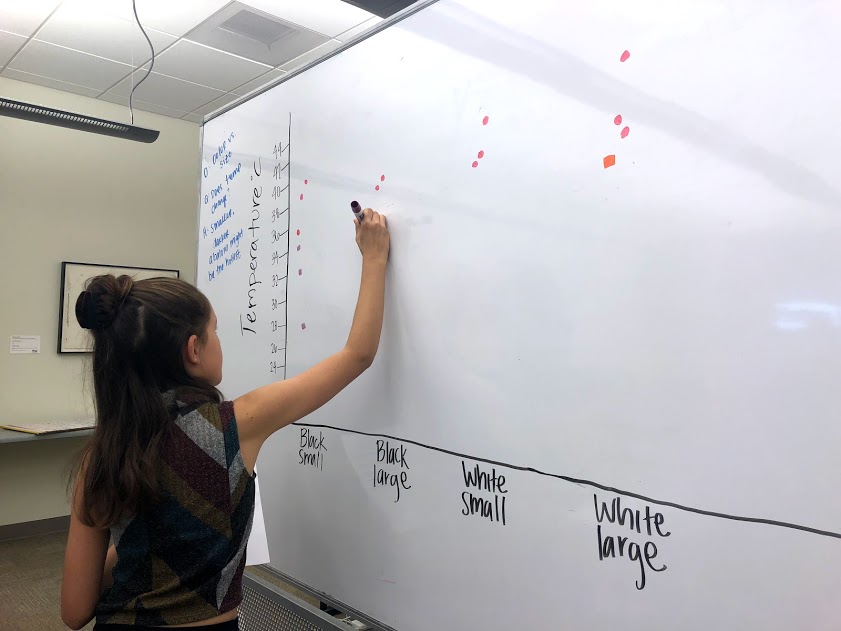 A student graphs data on a whiteboard for comparison and analysis with the Science Education Department. A student graphs data on a whiteboard for comparison and analysis with the Science Education Department.