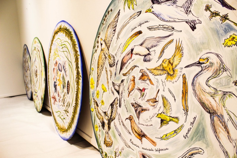 Each of the four mandalas represents a different scientific inventory at Cabrillo National Monument