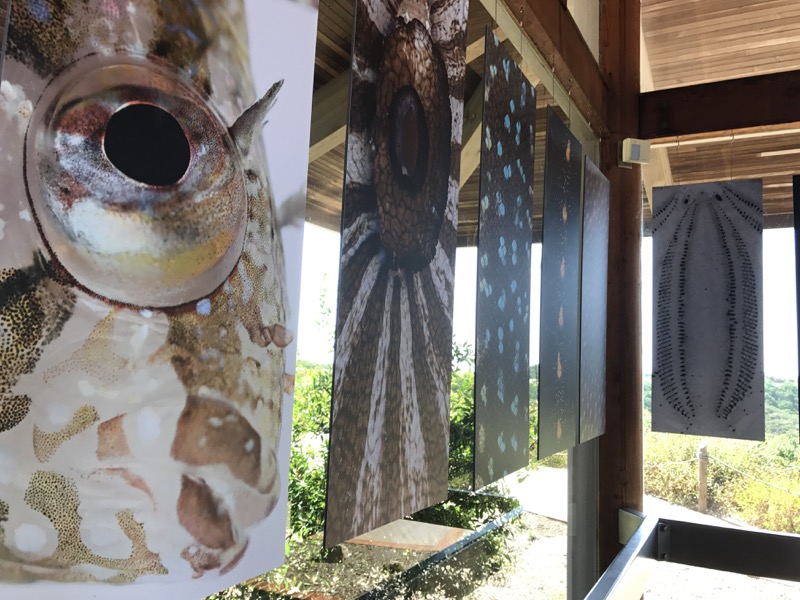 Closeup photo of art forms exhibit