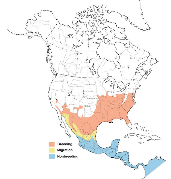 Range map of the Summer Tanager
