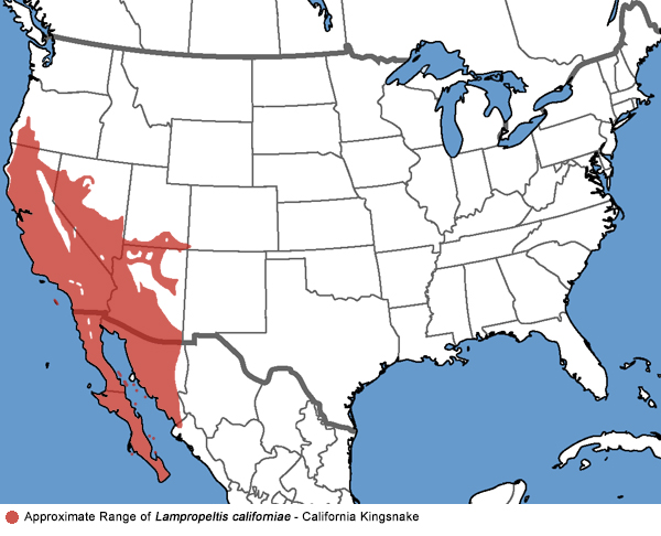 An approximate range map for the California Kingsnake.