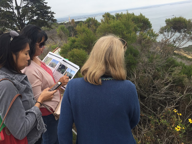 Teachers use plant guides to identify species during Citizen Science 2.0 activity.