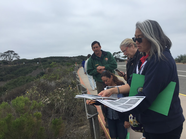 Teachers estimate plant coverage within a quadrat, as well as identify the plant species in this section of the transect.