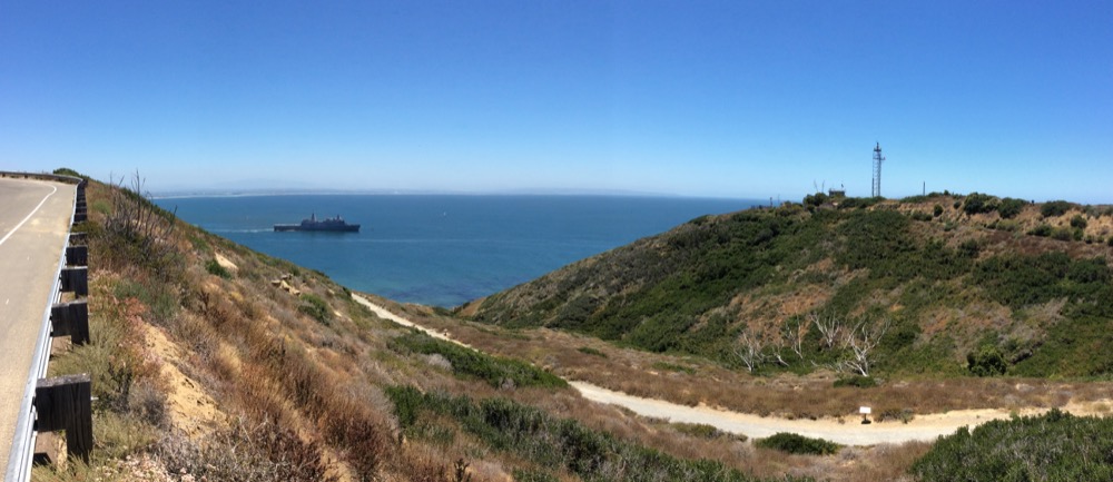 Species Spotlight: the California Gnatcatcher - Cabrillo National Monument  (U.S. National Park Service) - Cabrillo Field Notes