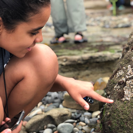 An EcoLogik participant crouches down and points excitedly at a rock covered in algae, barnacles, and Aggregating Anemones in Cabrillo’s tidepools.