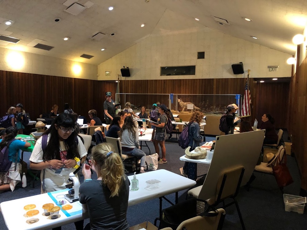 An action shot of the Women in STEM Fair where EcoLogik campers get one-on-one time with each STEM professional at their individual stations.