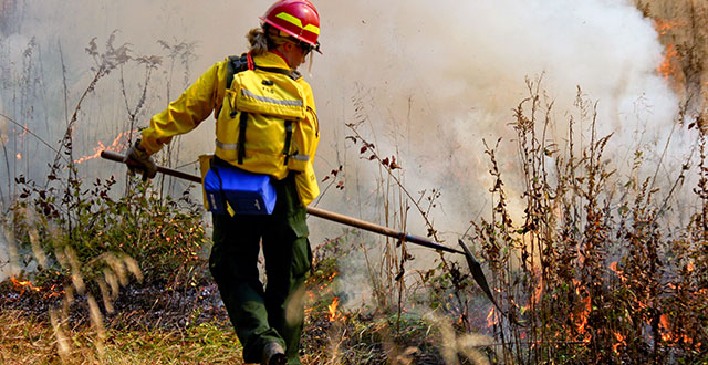 Wildland firefighters fighting back flames on public lands Wildland firefighters fighting back flames on public lands