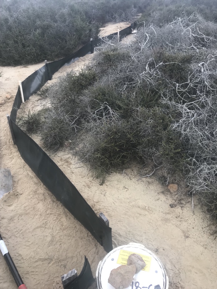 A trap array with fencing that guides herps to a pitfall or snake trap