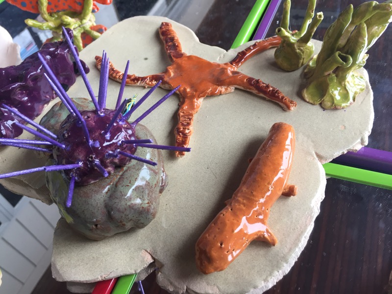 Some of the tidepool creatures made by elementary students