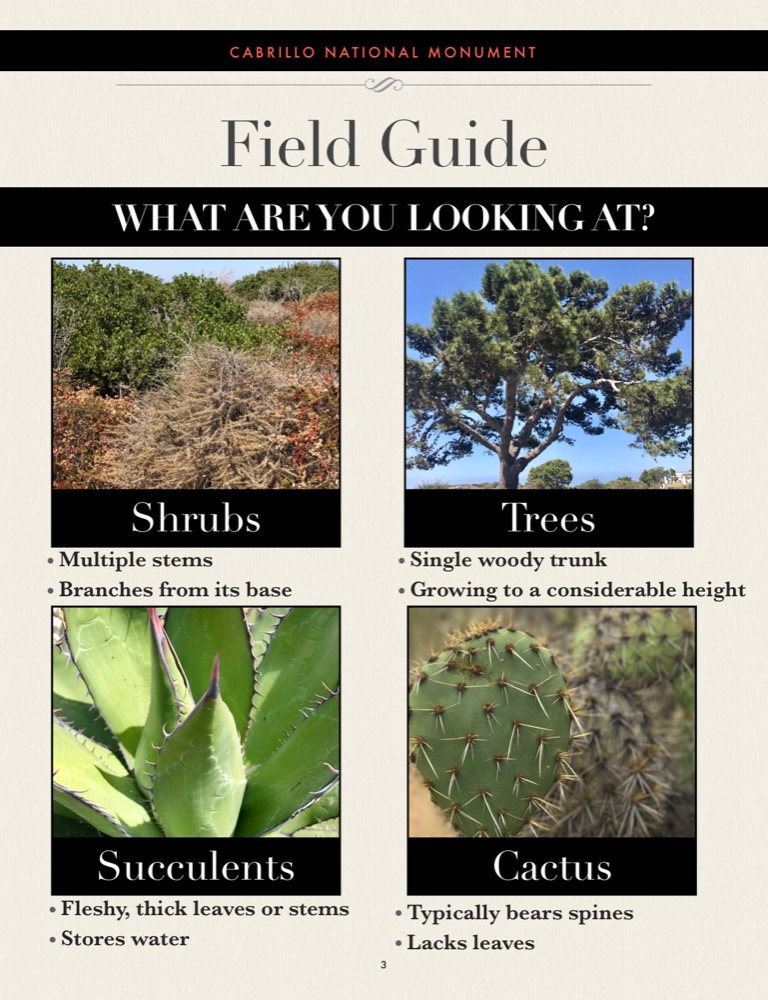 Cabrillo National Monument: Native Plant Field Guide – Field Guide Section in iBooks