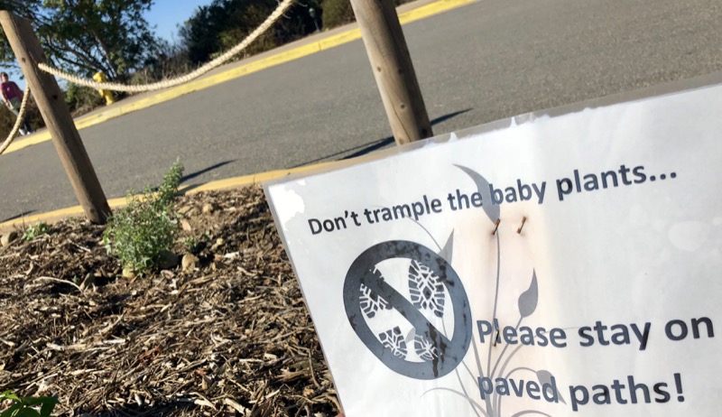 Posted sign in vegetation stating, Posted sign in vegetation stating,