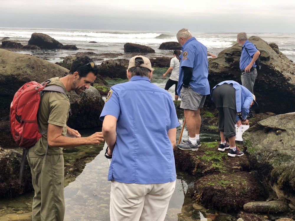 Chief of Natural Resources at Cabrillo National Monument, Keith Lombardo helps identify species with some of the VIP’s.