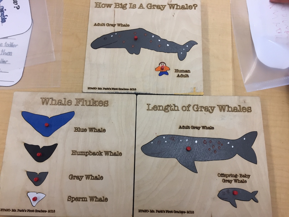 Students create wooden puzzles to explain different facets of the gray whale migration