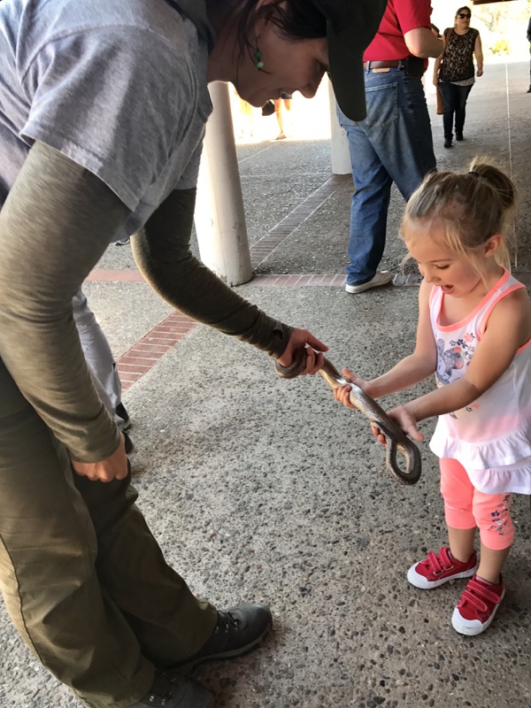 Ranger Stephanie introduces a snake ambassador to a Cabrillo visitor