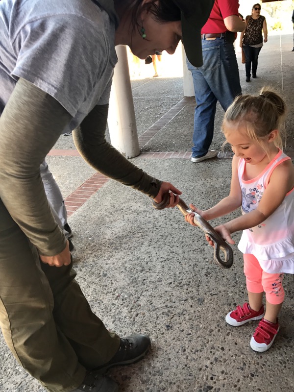 Ranger Stephanie introduces a snake ambassador to a Cabrillo visitor Ranger Stephanie introduces a snake ambassador to a Cabrillo visitor