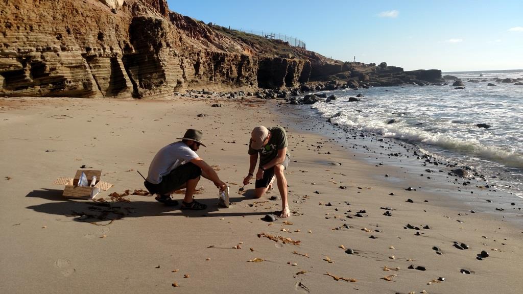 Cabrillo biologists collect beach samples for microplastics analysis