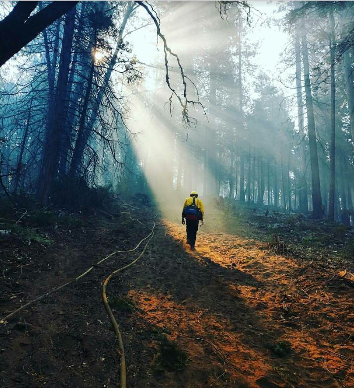 Adam Taylor walks handline to assess impacts during forest fire