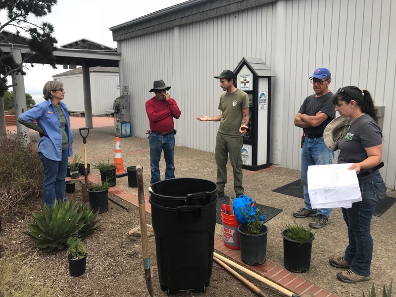 Our vegetation team scopes out the landscape restoration In the front plant beds