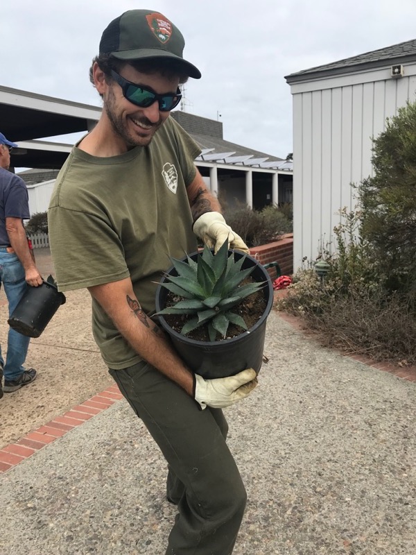 Ranger Adam Taylor shows off a Shaw’s Agave grown up in the Cabrillo National Monument greenhouse.