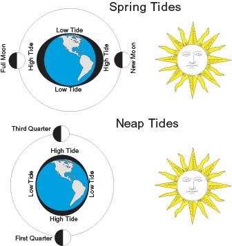 San Diego Bay Tide Chart