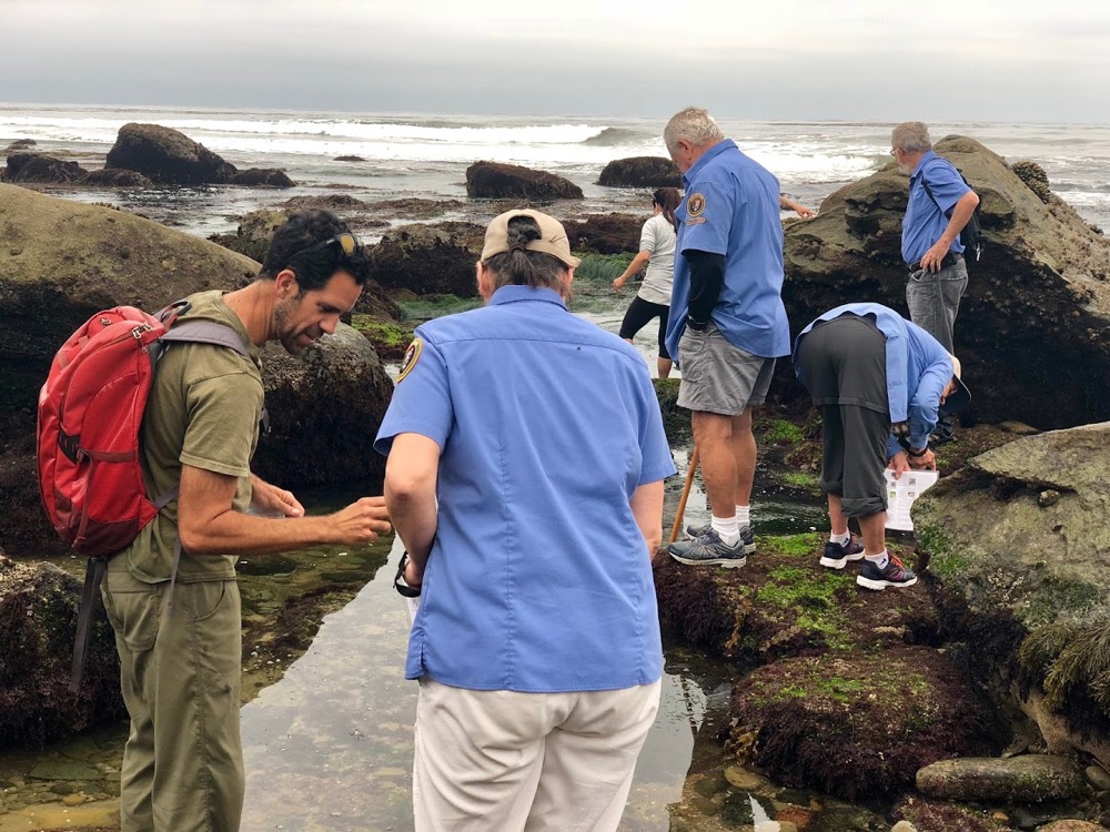 a group of people exploring the tidepools and looking closely at something they found. a group of people exploring the tidepools and looking closely at something they found.