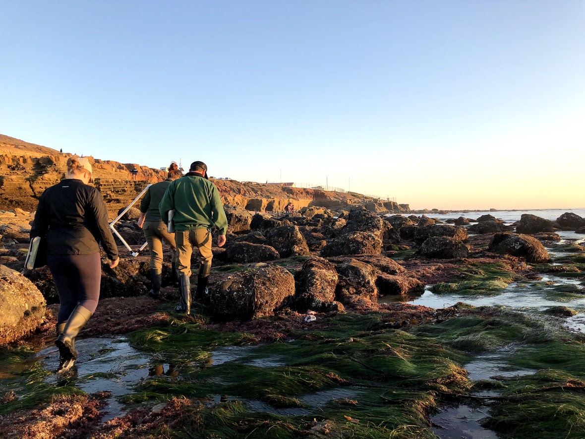 With quadrats and clipboards in hand, members of the Natural Resources team heads out of the tidepools after a day of monitoring. With quadrats and clipboards in hand, members of the Natural Resources team heads out of the tidepools after a day of monitoring.