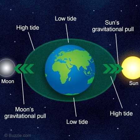 Graph showing what causes tides