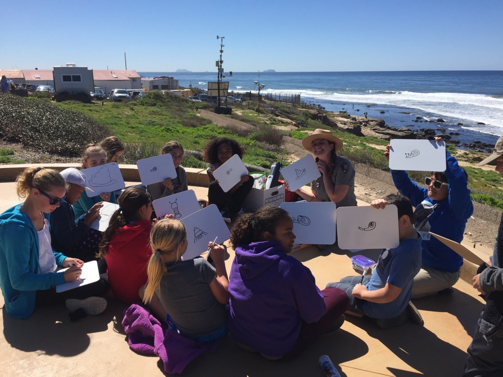 Ranger Alex and class draw marine snails on a tidepool excursion.