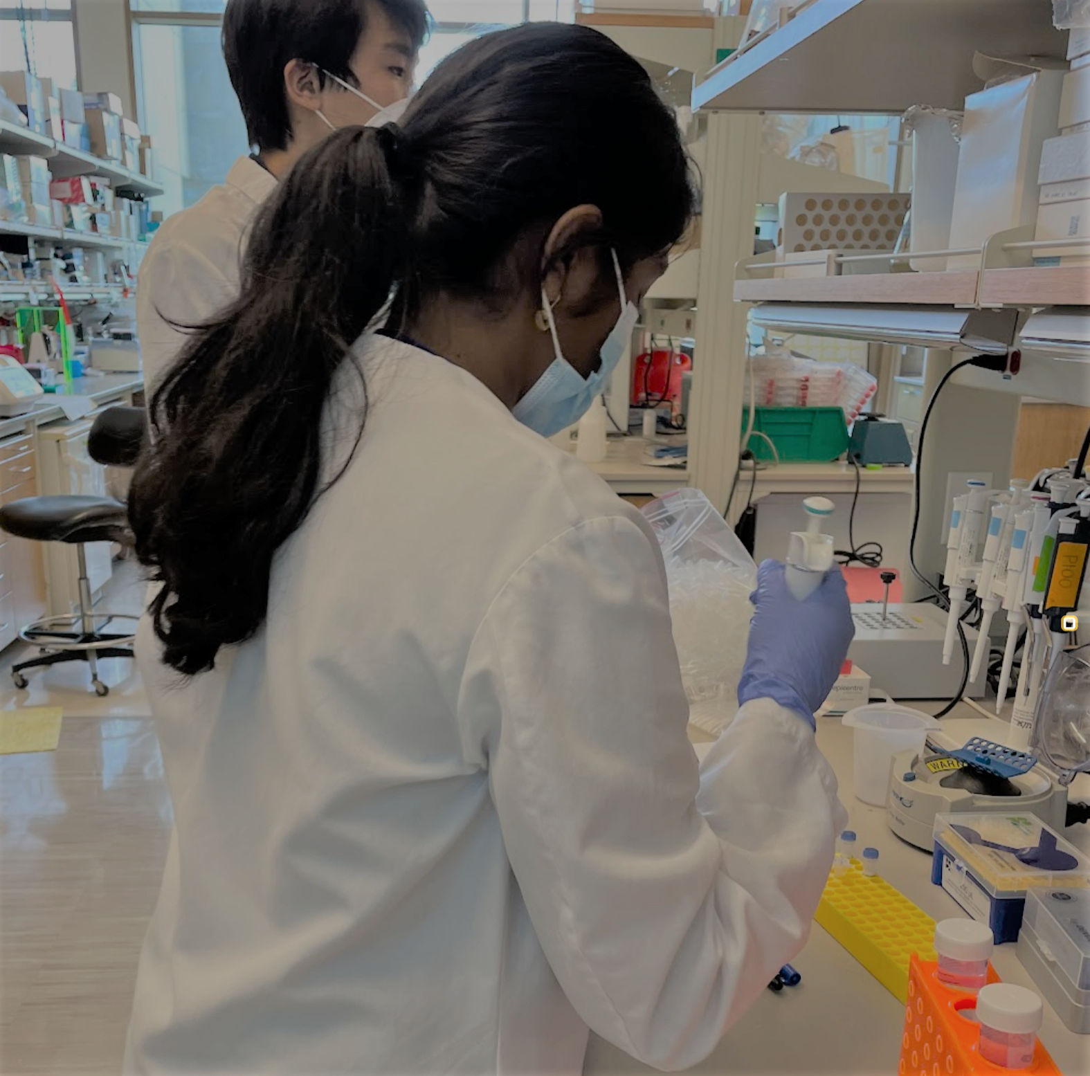 A person with long, curly dark hair pulled into a ponytail wears a white lab coat, blue medical mask, and blue latex gloves and stands at a bench in a laboratory holding an instrument.