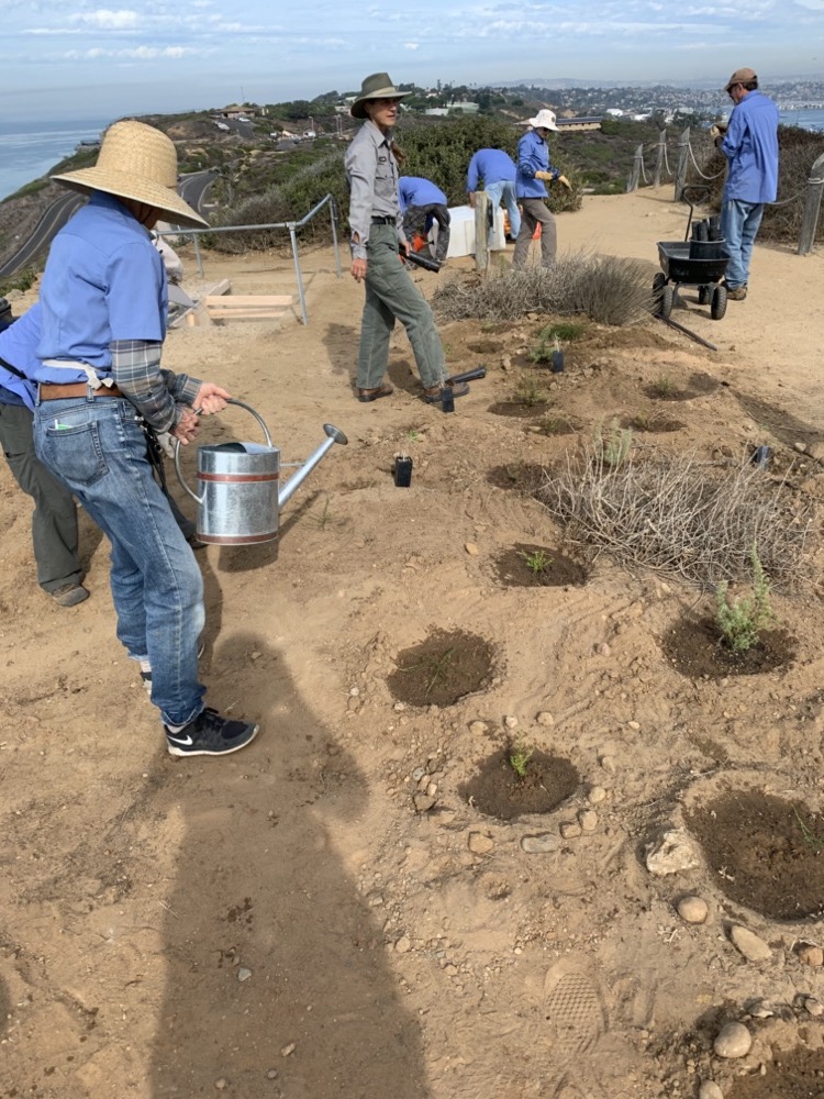 Volunteers plant new plantings