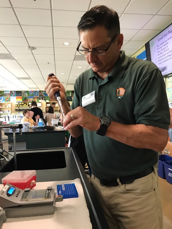 Andrew uses PCR techniques to discover the genders of the Endangered California Condor