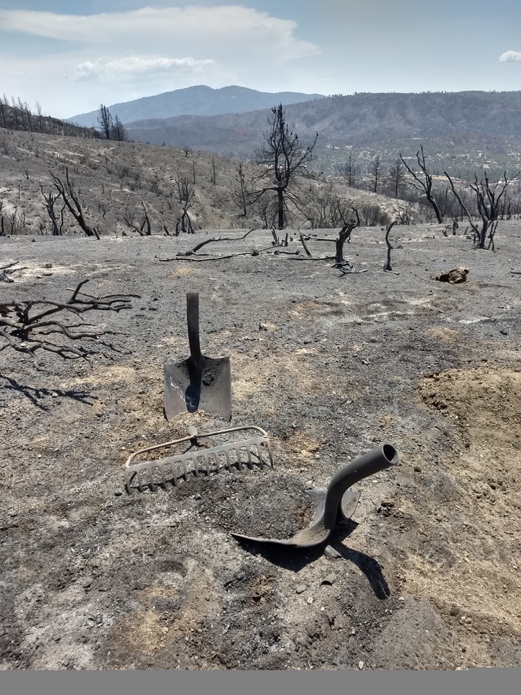 photo taken just after an area of chaparral burned during the Cranston Fire outside of Idyllwild, CA in July 2018.