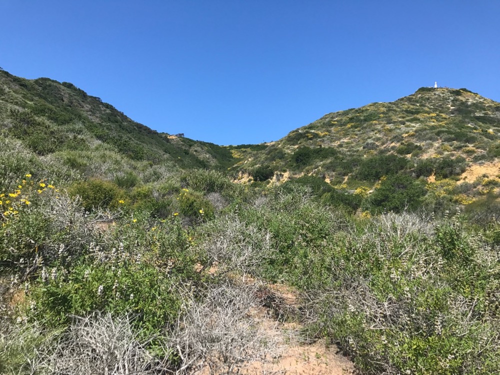 an example of the chaparral ecosystem as seen from the Bayside Trail at Cabrillo National Monument. an example of the chaparral ecosystem as seen from the Bayside Trail at Cabrillo National Monument.