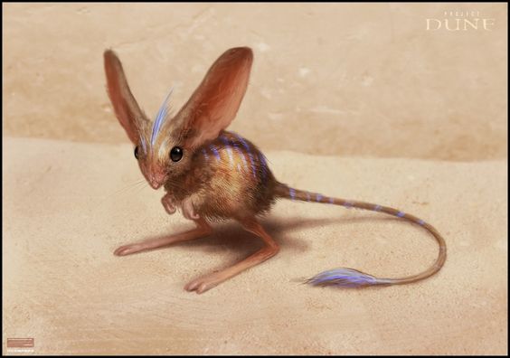 An artist’s rendering of the animal Muad’Dib from Frank Herbert’s Dune – which resembles a kangaroo rat with large ears, large feet, and blue stripes along its head and back. An artist’s rendering of the animal Muad’Dib from Frank Herbert’s Dune – which resembles a kangaroo rat with large ears, large feet, and blue stripes along its head and back.