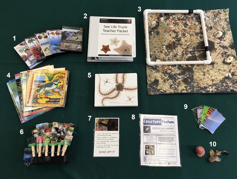 The educational contents of Cabrillo’s See Life Traveling Trunk