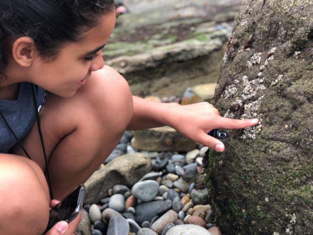 a student gently touches some Sea Anemones using only one finger.