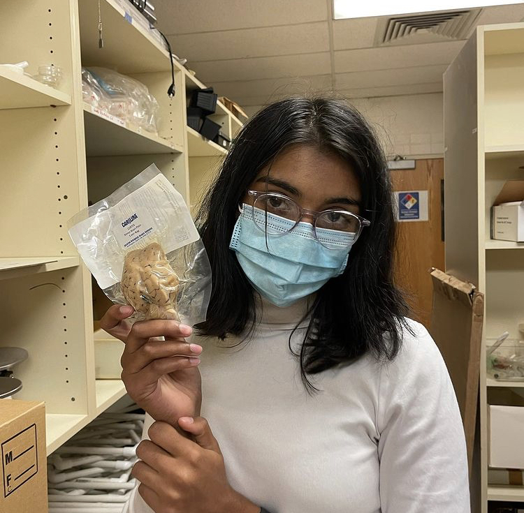 A person with silver rimmed glasses and long black hair stands in a laboratory and holds up a preserved specimen in a vacuum-sealed bag.