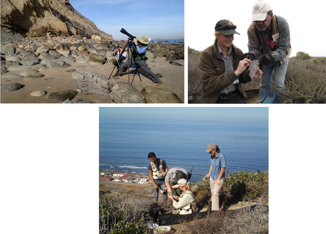 A person looking through telescope at birds, two people examining herp trap and group of people examining herp trap